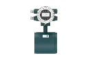 Wafer (flangeless) Sensor with Integral Mount Transmitter.webp