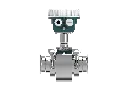 Hygienic Sensor with Remote Mount Transmitter.webp